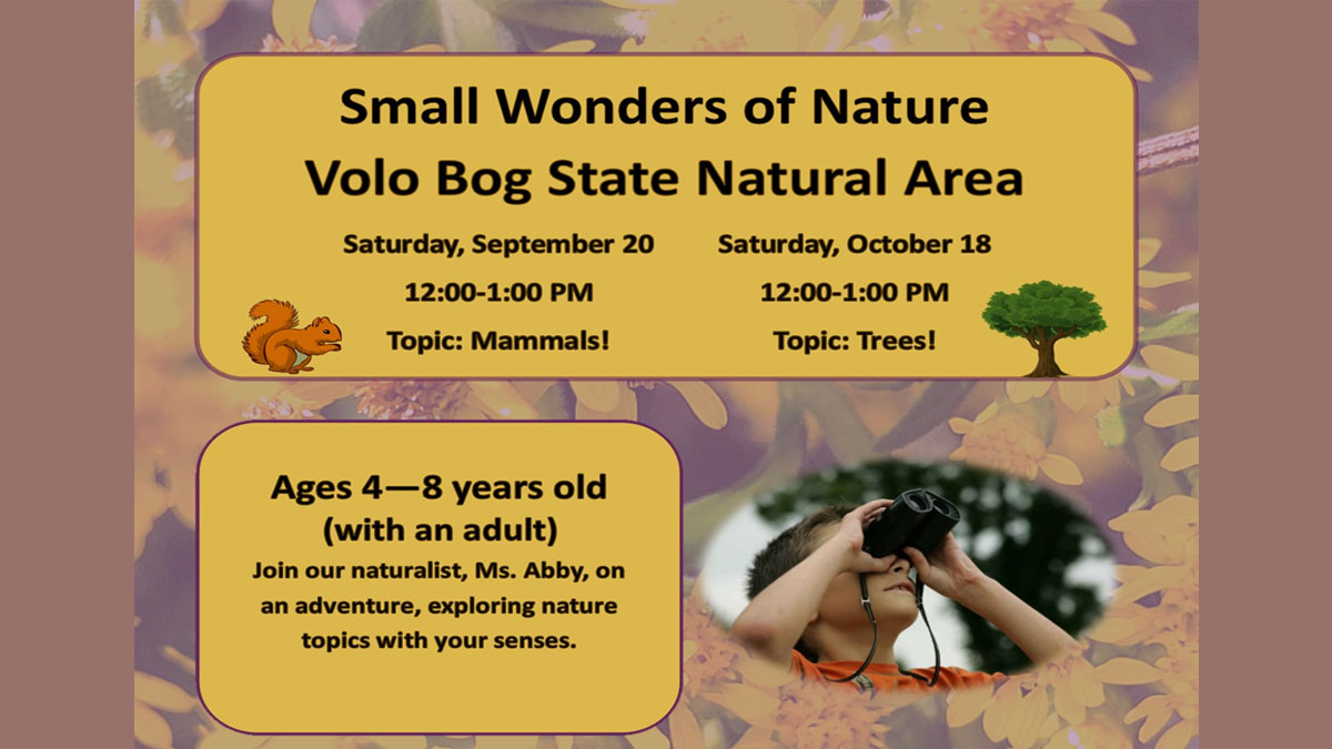 Small Wonders of Nature at Volo Bog State Natural Area